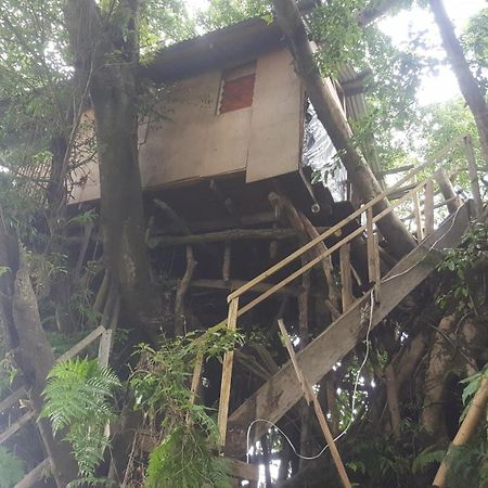 Castle Tree House And Bungalow White Sands Zimmer foto