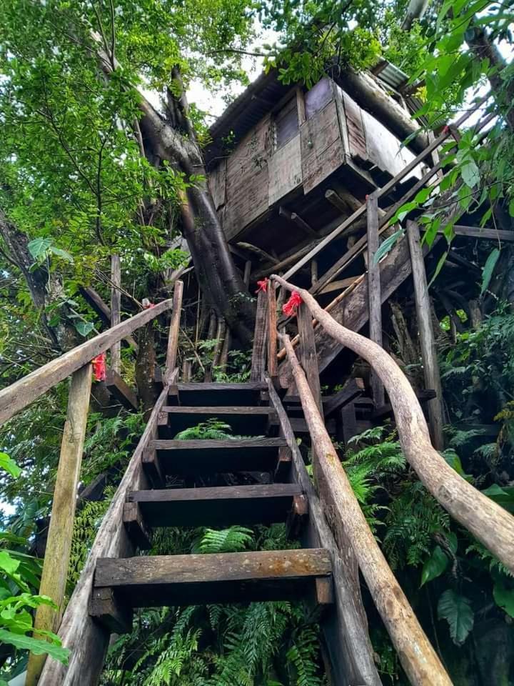 Castle Tree House And Bungalow White Sands Exterior foto